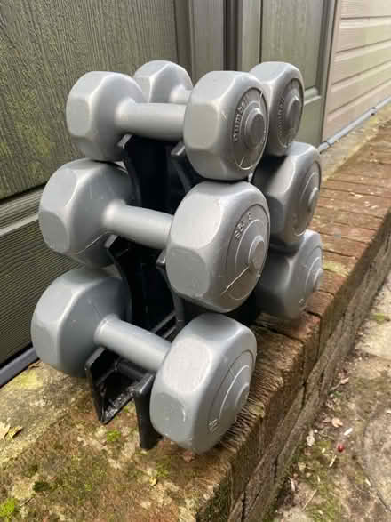 Photo of free Set of 3 pairs of weights on a stand (Bagillt CH6) #2