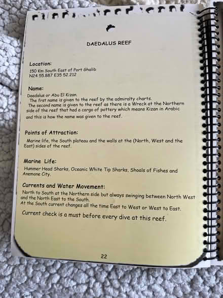 Photo of free Red Sea dive guide (NW10) #3