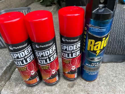 Photo of free Spider killer and wasp killer spray (Finsbury park) #1