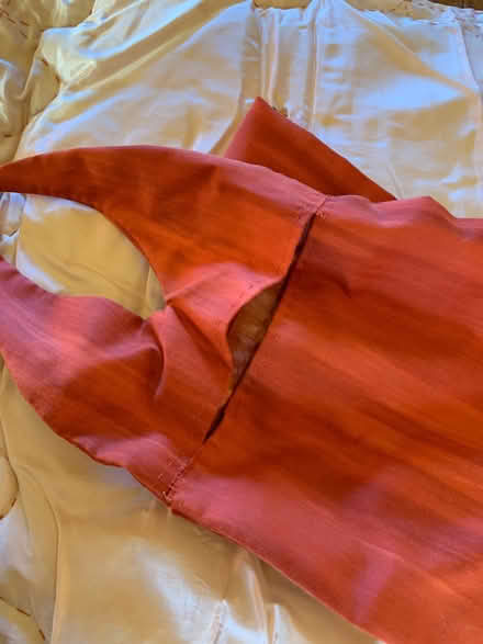 Photo of free Crab costume (Penbeagle TR26) #2