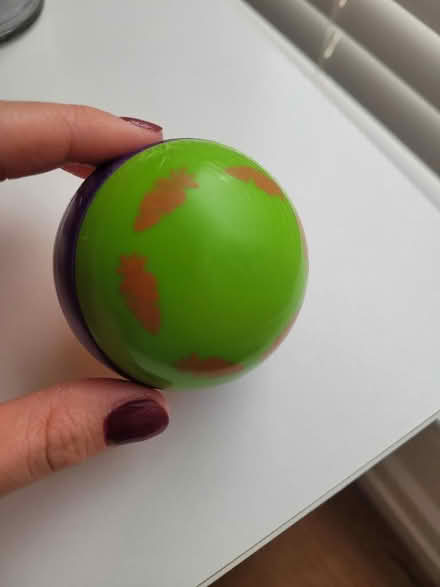 Photo of free Pet toy (Bridge of Allan FK9) #3