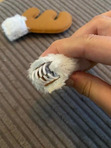 Photo of free Clip on antlers (Heswall CH60) #2