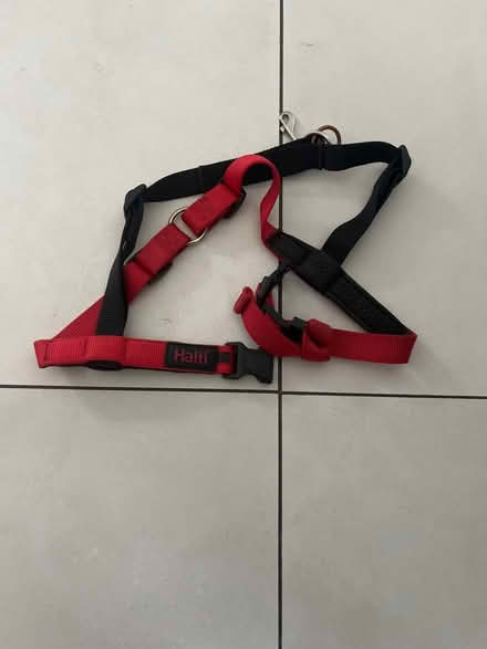 Photo of free Halti dog harness (CF14, Whitchurch, cardiff) #1