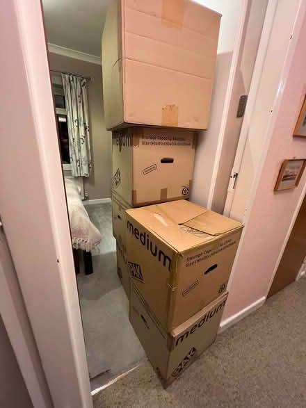 Photo of free Boxes and bubble wrap (Croham CR2) #2