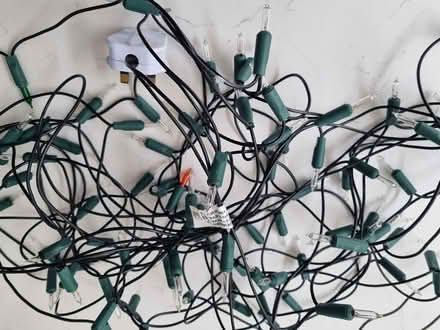 Photo of free Ser Christmas lights (Loughborough) #2