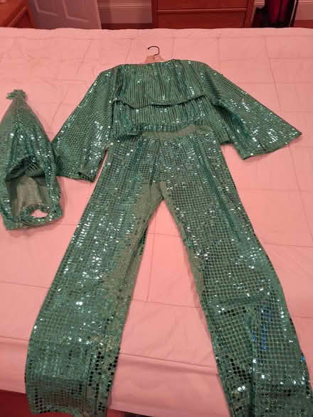 Photo of free Kids' Halloween costume size 8-10 (Lexington near Wilson Farms) #1