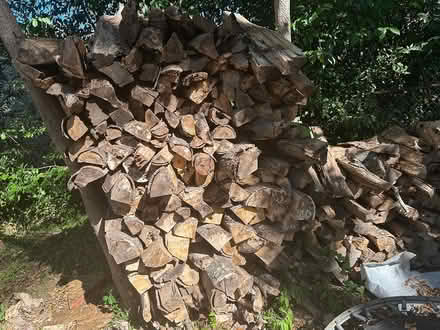 Photo of free Firewood (Austell) #1