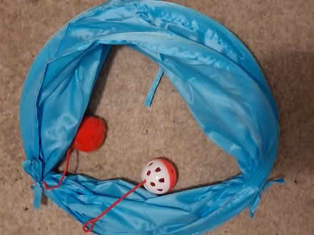 Photo of free Cat tunnel toy (Dyke Road area BN1) #2