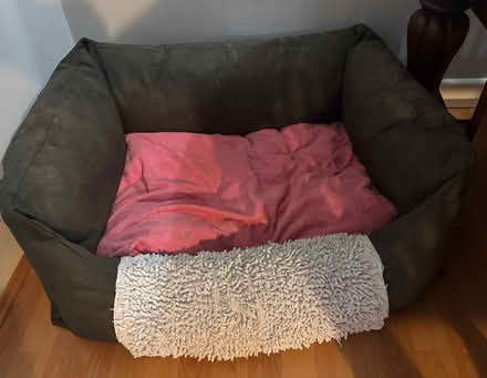 Photo of free Indoor beds/DogFood (The Ward, County Dublin) #2