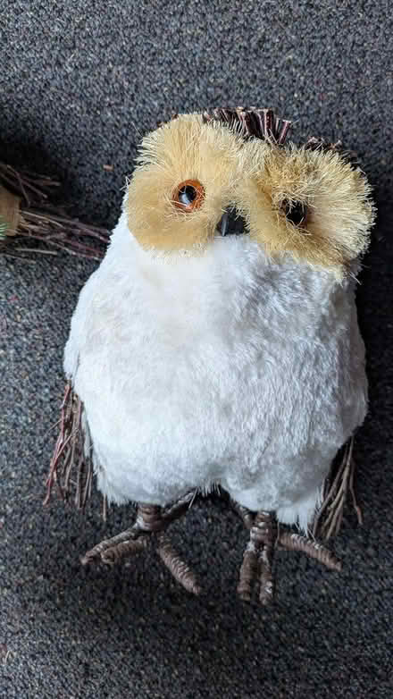 Photo of free Christmas decor (Hayward Downtown) #2