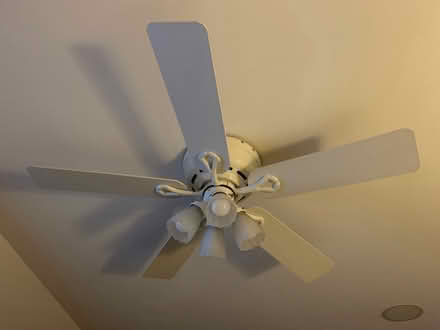 Photo of free Ceiling fan with lights (Brookeville) #1