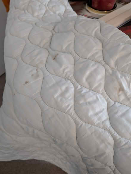 Photo of free Mattress Topper Double (Hoddesdon EN11) #4