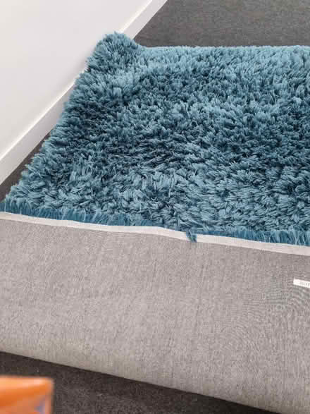 Photo of free Green rug (CR0) #1