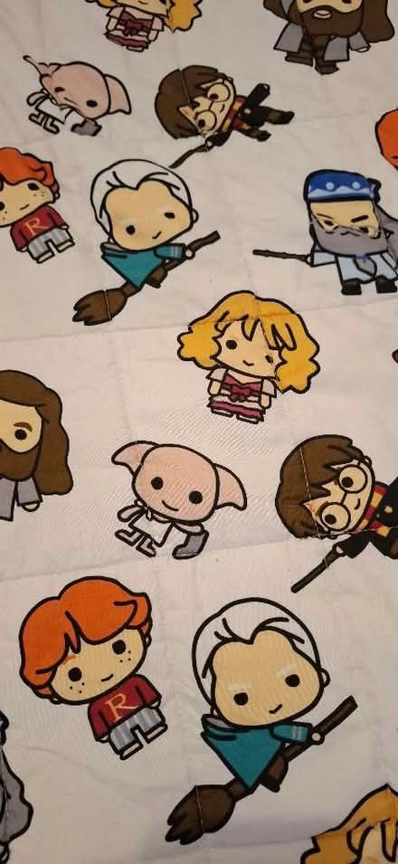 Photo of free Kids Harry Potter weighted blanket (Boughton Monchelsea ME17) #2