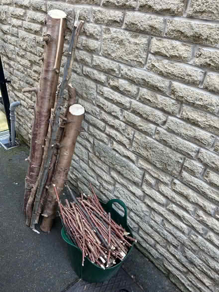 Photo of free Connifer Logs (Lodge Moor S10) #2