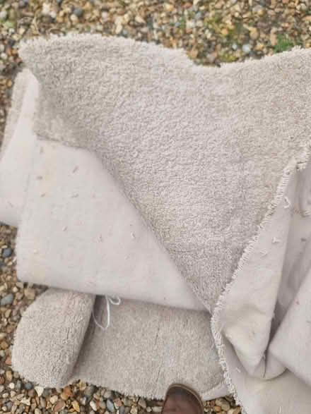 Photo of free Beige carpet (Sheringham NR26) #1