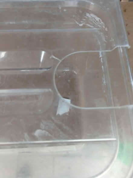 Photo of free Sous vide stick water bath (CT1) #4