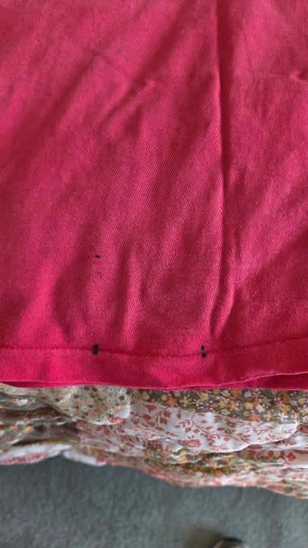 Photo of free 3 men's S T-shirts -- well worn (south sunnyvale) #3