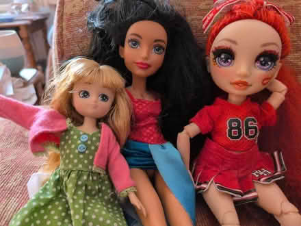 Photo of free Dolls (Bracknell Forest RG12) #3