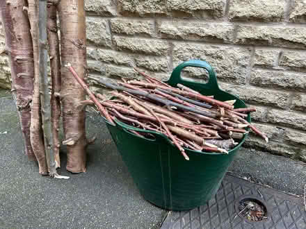 Photo of free Connifer Logs (Lodge Moor S10) #1