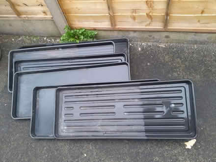 Photo of free Plant trays for greenhouse (Kendal LA9) #1