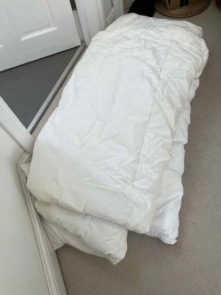 Photo of free 2 King duvets (Finsbury Park (N4)) #1