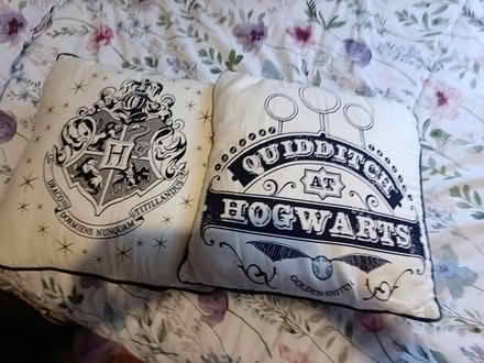 Photo of free Harry Potter cushions (lemington NE15) #1