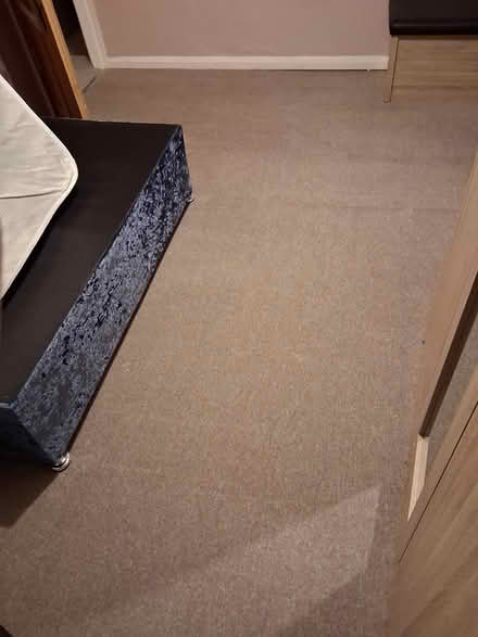 Photo of free Beige carpet (mansfield woodhouse NG19) #1