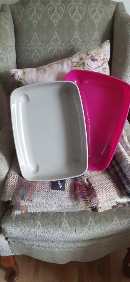 Photo of free Litter trays. (Kennington OX1) #1