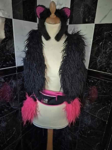Photo of free Fluffy costume accessories (Hollinswood TF3) #1
