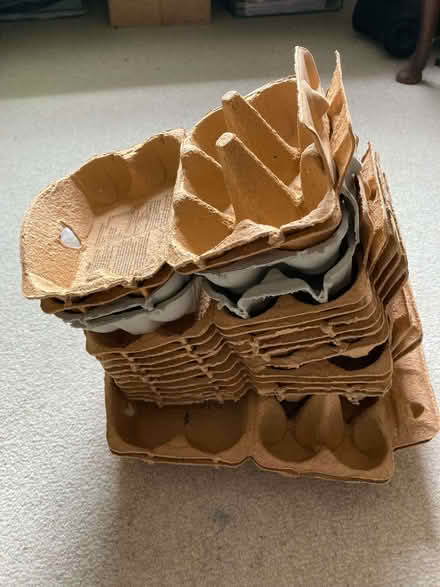 Photo of free Eggboxes (Leckhampton GL53) #1
