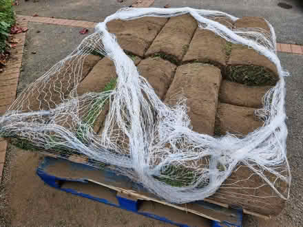 Photo of free Turf - 19 rolls. (Morecambe LA4) #2