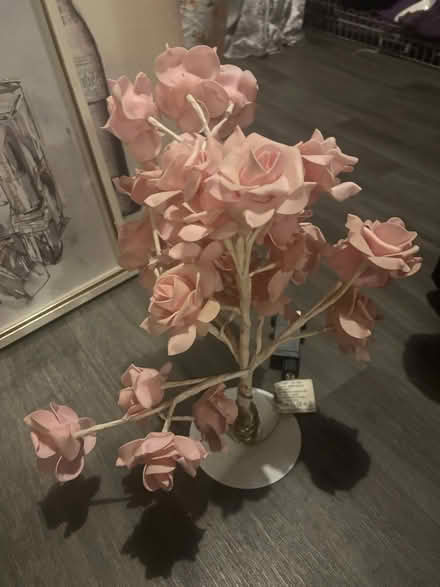 Photo of free Rose light (Deal CT14) #1