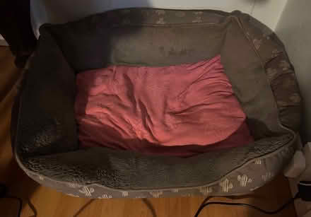 Photo of free Indoor beds/DogFood (The Ward, County Dublin) #3