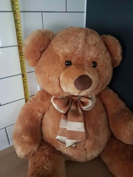 Photo of free Teddy bear (sm6 8by) #1