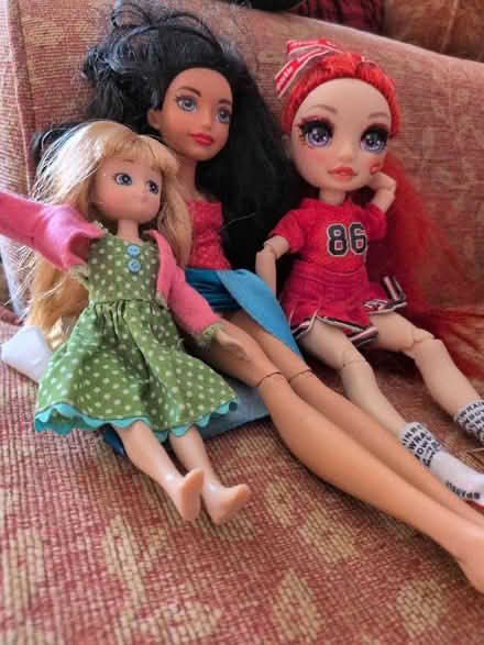 Photo of free Dolls (Bracknell Forest RG12) #1