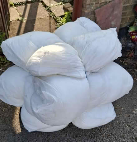 Photo of free Polyester fibre filling (GU3 Westborough area) #1