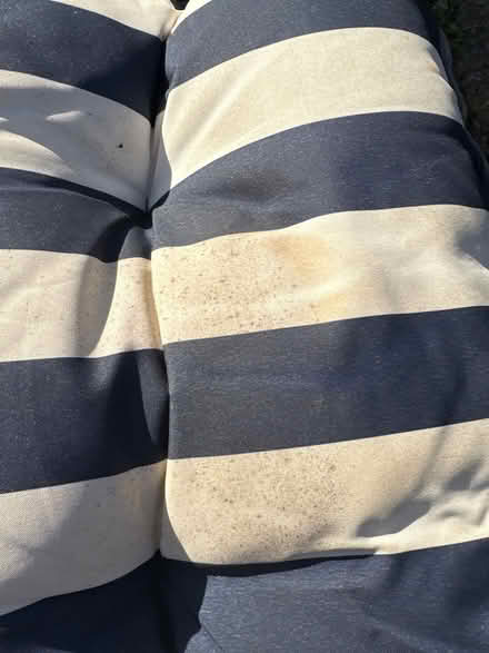 Photo of free Garden chair lounger (Hillsborough S6) #3