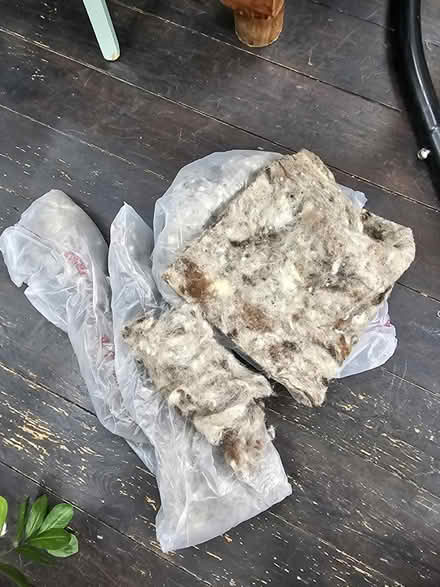 Photo of free Wool insulation (SW8) #1