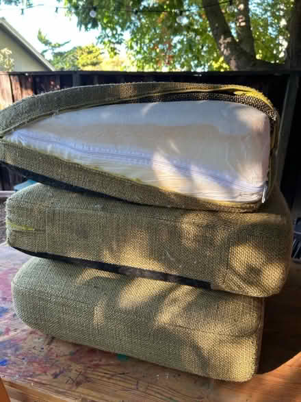 Photo of free Thick couch cushions (Shoreline West Mountain View) #1