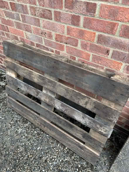 Photo of free Wooden pallet (Sprowston NR7) #1