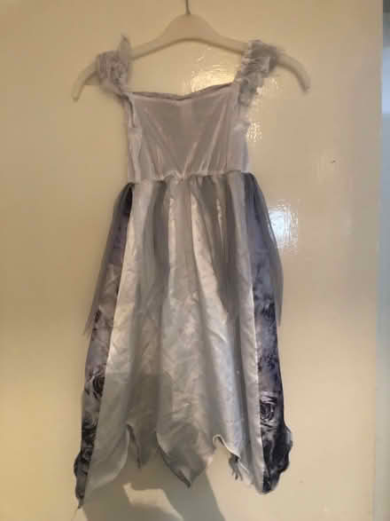 Photo of free Fancy dress costume age 3-4 (Latchford WA4) #2