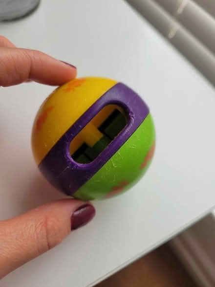 Photo of free Pet toy (Bridge of Allan FK9) #1