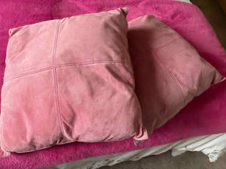 Photo of free Cushions (AB32) #1