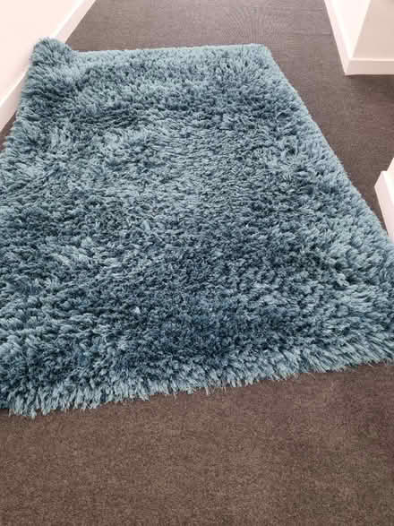 Photo of free Green rug (CR0) #3