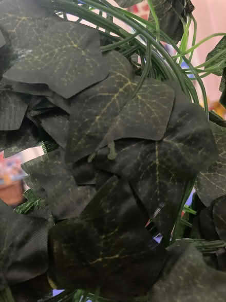Photo of Plastic Vine garland (Woodley RG6) #1