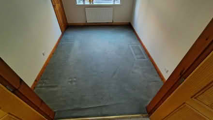 Photo of free Green carpet (Horsforth LS18) #2