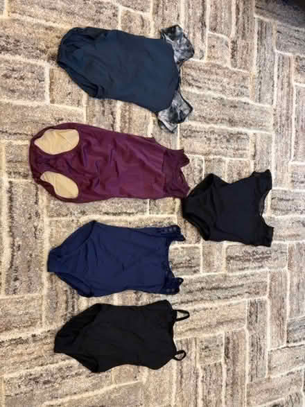 Photo of free 5 Leotards (Thornwood, NY) #1
