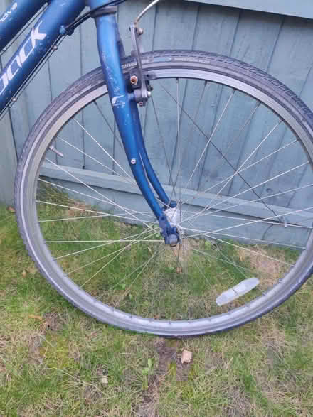 Photo of free Bicycle (Tulse Hill) #3