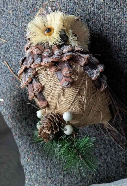 Photo of free Christmas decor (Hayward Downtown) #1